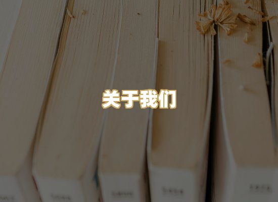 关于我们